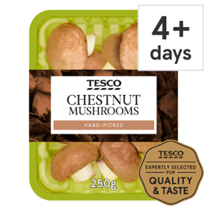 Chestnut Mashroom